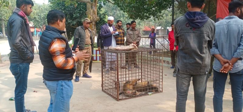 নবাবগঞ্জের স্বপ্নপুরী পার্ক থেকে ৭৪টি বন্যপ্রাণী উদ্ধার